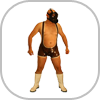 Wrestler SuitsRinger Shortanzug